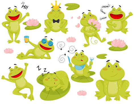 Flat vector set of frog in different actions. Cartoon character of funny green toad