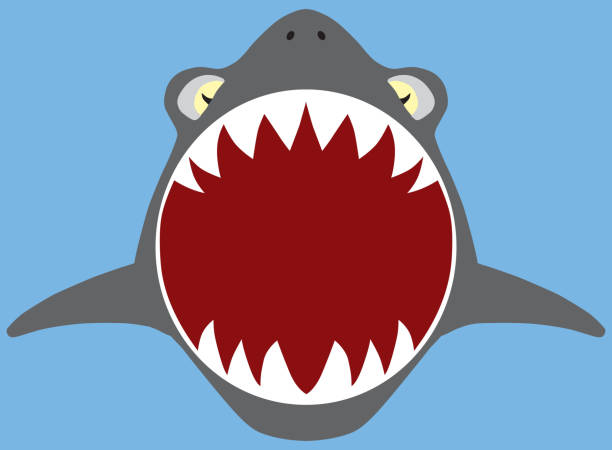 Flat Vector Shark Attack A flat vector shark with mouth open is swimming toward viewer carnivorous stock illustrations