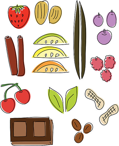Flavors Drawn Design Elements Lots of different fruit and spice flavor elements. Loose line drawing. Color on separate layer for easy editing. Zip file includes Illustrator CS2 AI file and Illustrator 8.0 eps file. kathrynsk stock illustrations
