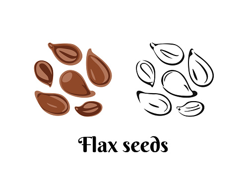 Flax seeds isolated on white background. Vector color illustration in cartoon flat style and black and white outline. Organic food Icon.