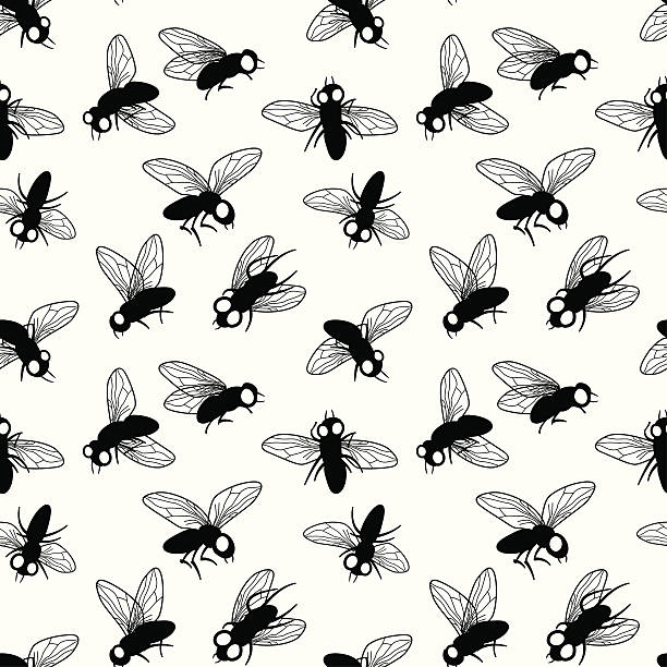 Flies vector art illustration