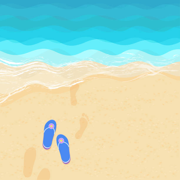 stockillustraties, clipart, cartoons en iconen met slippers en voetstappen in het zand - voeten in het zand