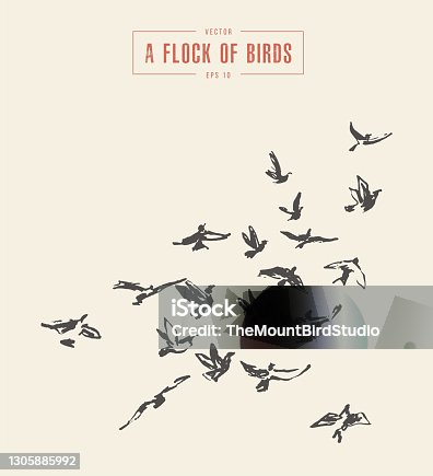 istock A flock of birds drawn vector illustration, sketch 1305885992