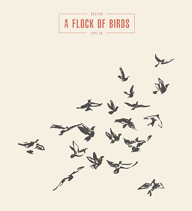 A flock of birds, hand drawn vector illustration, sketch