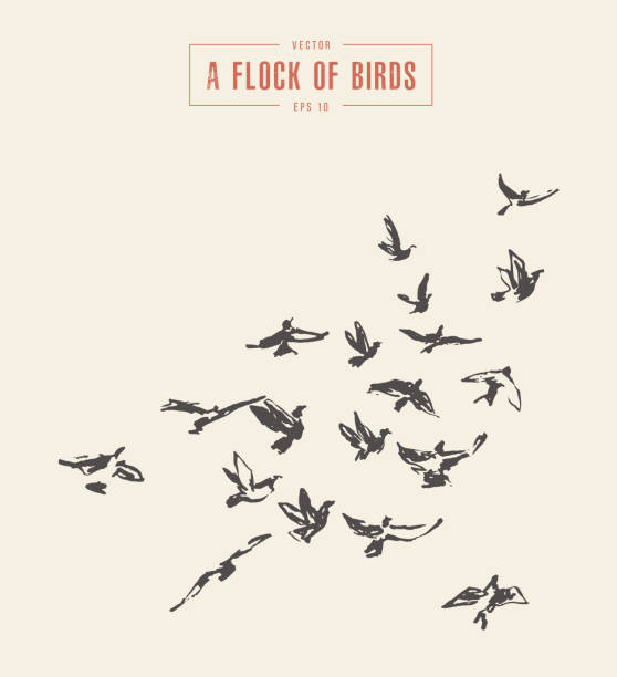 A flock of birds drawn vector illustration, sketch A flock of birds, hand drawn vector illustration, sketch bird drawings stock illustrations