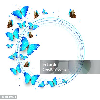 istock Flock of Blue Flying Butterflies 1341880478