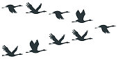 Cranes or stork silhouette vector icon set.