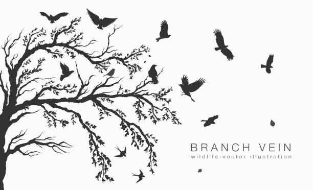 flock of flying birds on tree branch tree flock of flying birds on tree branch tree bird silhouettes stock illustrations