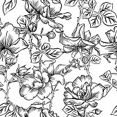 Floral bloom. Silhouettes of large roses and petals. Outline sketch contour drawing, Line art. Seamless pattern made of ink garden flowers isolated on white.