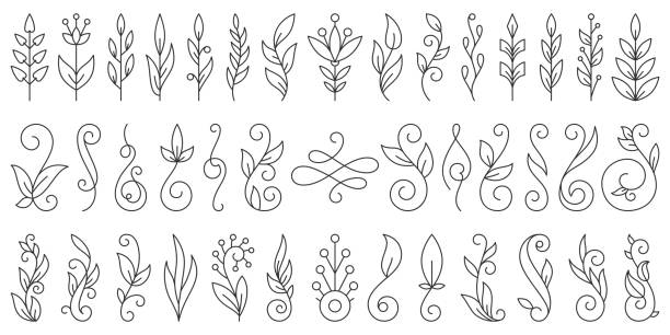 Floral Branch ornament simple line icon vector set Floral Branch thin line set. Flourish ornament simple outline signs collection. Swirl vintage calligraphy wedding design element, linear style. Black contour Isolated on white flat vector Illustration wedding clipart stock illustrations