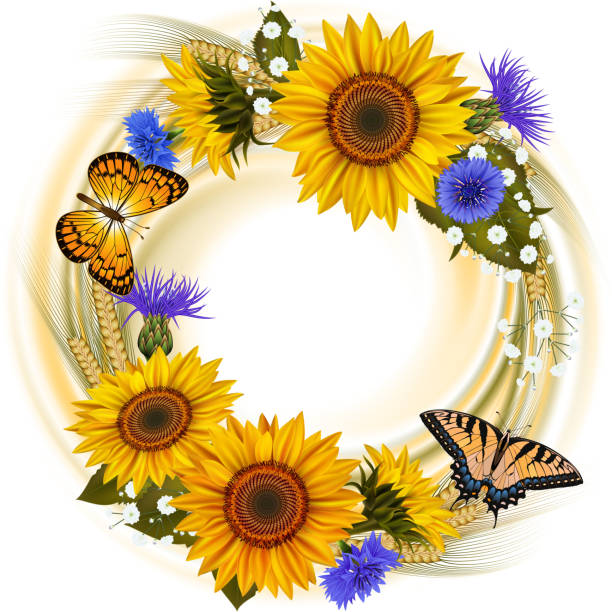 Download Square Sunflower Frame With Butterfly Illustrations ...