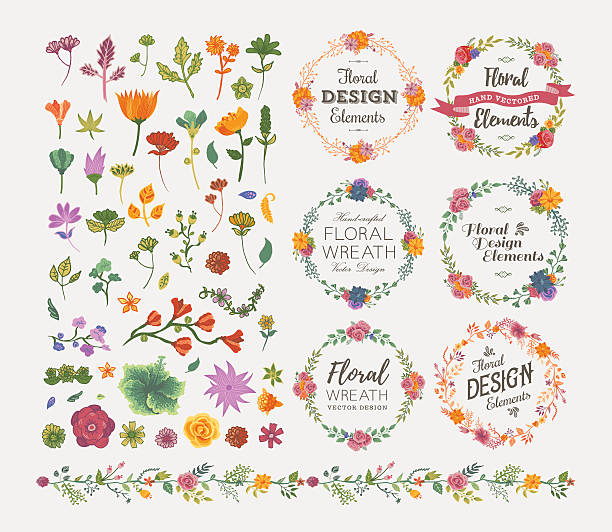 Floral Design Elements vector art illustration
