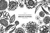 Floral design with black and white poppy flower, gerbera, sunflower, milkweed, dahlia, veronica stock illustration