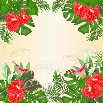 Floral frame natural background with blooming lilies Cala and anthurium, palm,philodendron and ficus vector Illustration  greeting card