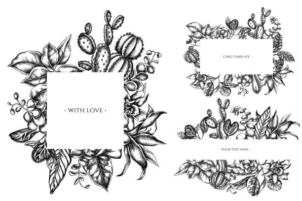 Floral frames with black and white ficus, iresine, kalanchoe, calathea, guzmania, cactus Floral frames with black and white ficus, iresine, kalanchoe, calathea, guzmania, cactus stock illustration cactus drawings stock illustrations