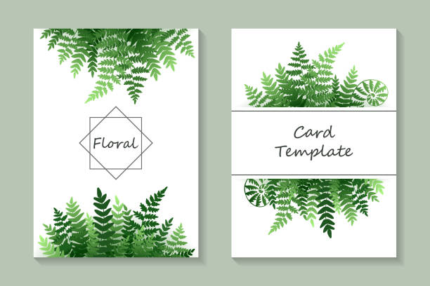 Floral greeting card template or wedding invitation design. Set of two cards with green fern on a white background. fern stock illustrations
