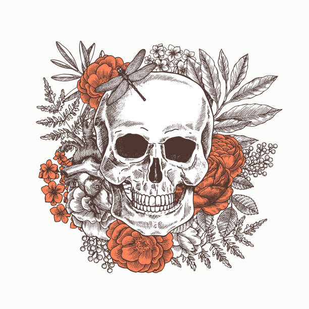 ilustrações de stock, clip art, desenhos animados e ícones de floral human skull. tattoo anatomy vintage illustration. vector illustration - rock rose