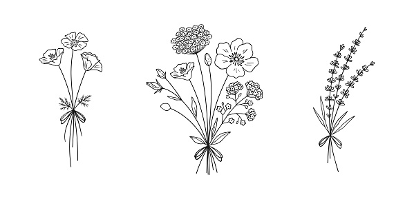 Floral line art bouquets set, vector illustration.