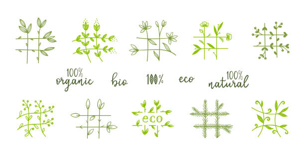 ilustrações de stock, clip art, desenhos animados e ícones de floral natural, bio, eco icons. hashtag of twigs with leaves, flowers and berries. ecology signs vector set. hash tag symbols. perfect for healthy life promotion, organic vegan products packaging - natural organic doodle tag