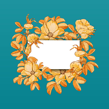 Floral picture frame with drawn rose hips and flowers. Fall background, Autumn frame Vector illustration
