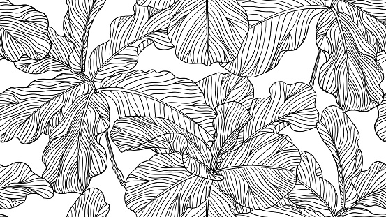 Floral seamless pattern, black and white fiddle leaf fig on white background, line art ink drawing