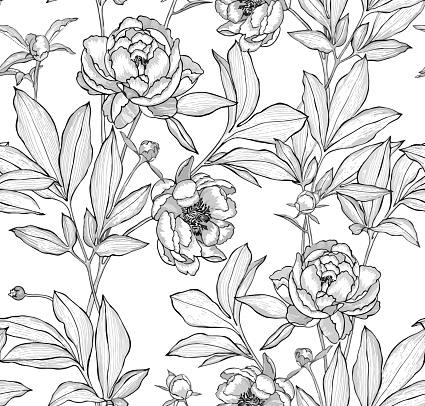 Vector botanical seamless pattern. Elegant peonies, buds and leaves. Contour drawing, etching graphic technique, embroidery illusion. Vintage background with beautiful flowers for textile and fabric.