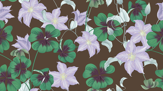 Floral seamless pattern, Oxalis tetraphylla or lucky clover and purple Clematis flowers on dark brown background, pastel vintage theme