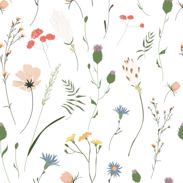 꽃 무음 패턴. 트렌디 한 꽃 다채로운 벡터 텍스처입니다. 피는 식물 모티프는 무작위로 흩어져 있습니다. 패션, 디티 프린트. 흰색 배경에 손으로 그린 다른 색상 야생 초원 꽃 - 꽃 꽃의 구조 stock illustrations