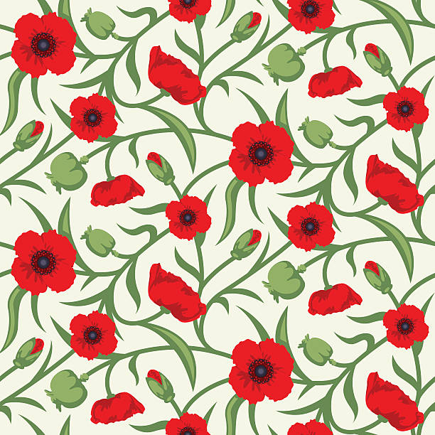 Floral Seamless Vector Pattern Design Red Poppy vector art illustration