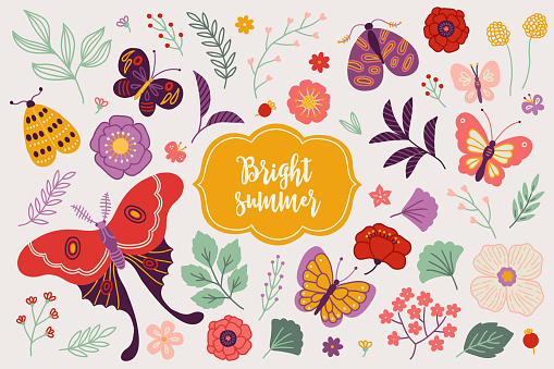 Floral set - butterflies, poppy, flower, peony, leaves, berry, moth