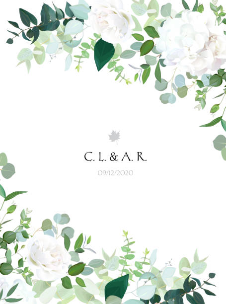 florale vektorbanner-vertikale einladungsrahmen mit weißer rose - blumenbeet stock-grafiken, -clipart, -cartoons und -symbole