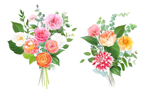Floral vector design bouquets Floral vector design bouquets. Pink, yellow, fuchsia rose, orange ranunculus, garden rose, striped dahlia, coral flowers, peony, greenery. Wedding elegant bunch. Elements are isolated and editable bunch of flowers illustrations stock illustrations