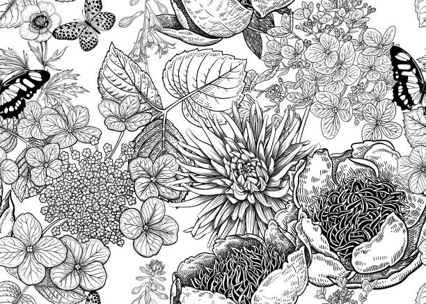 Floral vector seamless pattern. Peonies, aster and hydrangea. Peonies, hydrangea, aster and butterfly. Floral background. Vintage seamless pattern. Black and white. Bouquets of flowers, leaves and branches. Oriental style. Vector illustration art. insect illustrations stock illustrations