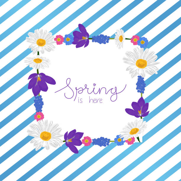 bildbanksillustrationer, clip art samt tecknat material och ikoner med blomkrans på vårblommor med handskriven text våren är här, på blå geometrisk bakgrund. - sweden summer