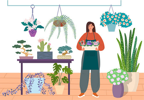 Florist caring for indoor plants. Flower shop or houseplant store vector illustration. Young woman in a flower center is holding a pot of violets.