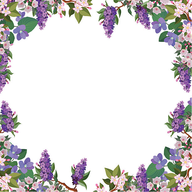 flower border frame A vector fame made of flowers found in North America: lilacs, violets, mayflowers and mountain laurel. may flowers stock illustrations