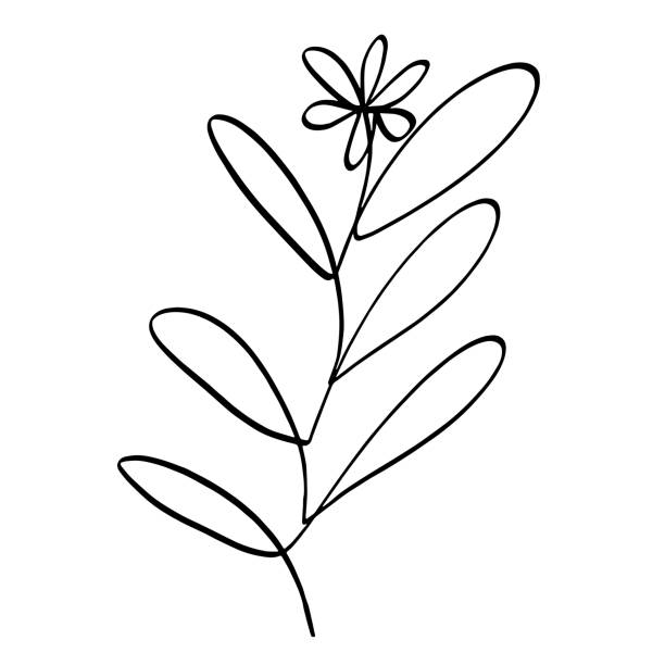 flower branch mono line drawing vector illustration vector art illustration