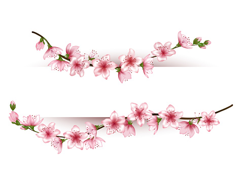 Flower branches vector frame for text.