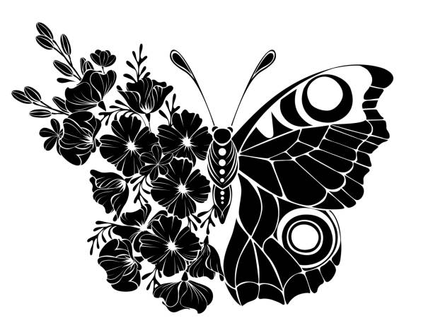 Flower butterfly with black california poppy Black flower butterfly, peacock eye with wing decorated with outline California poppy and wild plants on white background. butterfly fairy flower white background stock illustrations