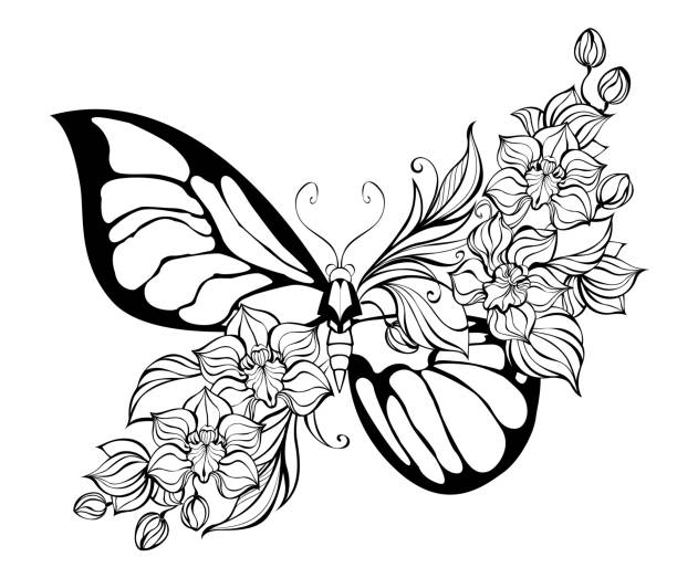 Flower butterfly with contour orchid Contour, stylized, artistic butterfly, decorated with exotic orchids on white background. Coloring book. butterfly fairy flower white background stock illustrations