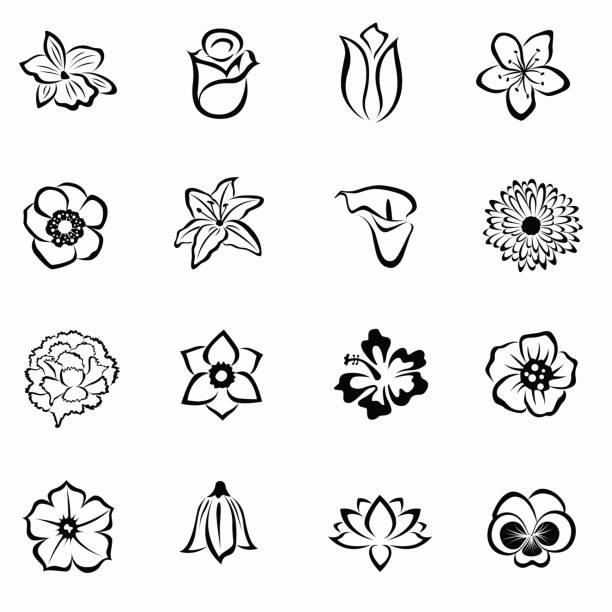 ilustraciones, imágenes clip art, dibujos animados e iconos de stock de conjunto de iconos de flores - alcaraz
