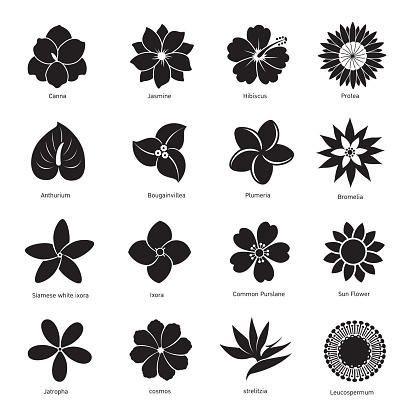 flower icon isolated on white background vector illustration.