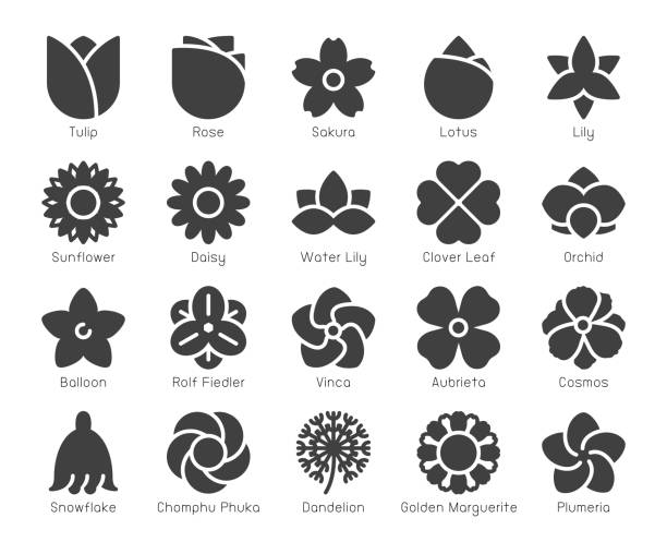 꽃-아이콘 - 꽃 꽃의 구조 stock illustrations