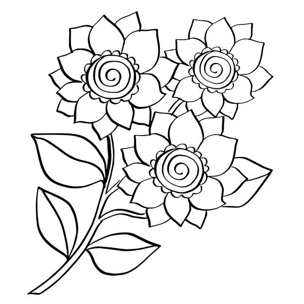 flower line art drawing vector art illustration