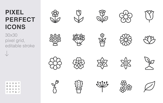 Flower line icon set. Rose, tulip in vase, fruit bouquet, spring blossom, cactus minimal vector illustration Simple outline signs for flowers delivery application. 30x30 Pixel Perfect Editable Strokes