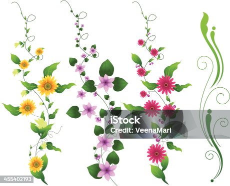 istock Flower Vine 455402193