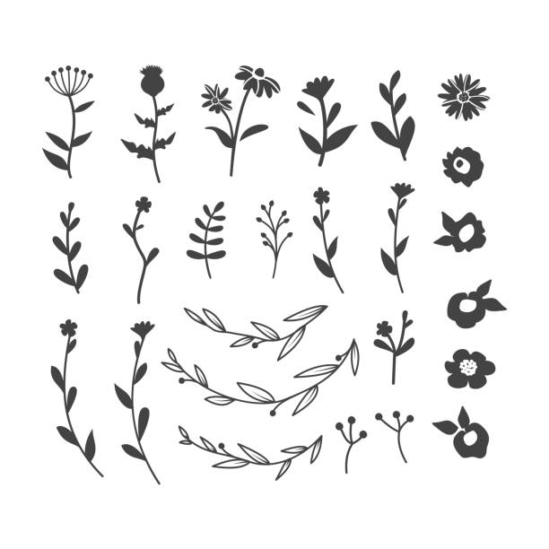 Flowers and branches silhouette vector set vector art illustration