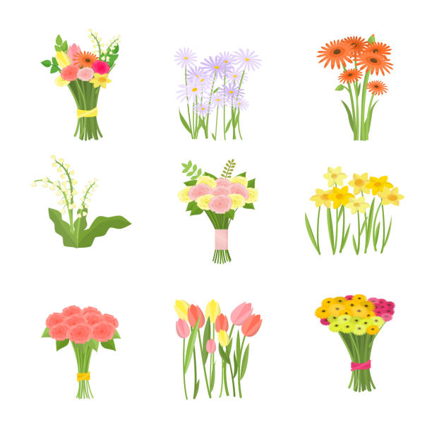 Flowers composition set icons isolated on white background Flowers in bouquet and growing in flowerbed set icons isolated on white background. Blue daisy, narcissus, tulip, gerberas, lilies of the valley, roses and mixed composition. Greeting card template flowerbed illustrations stock illustrations