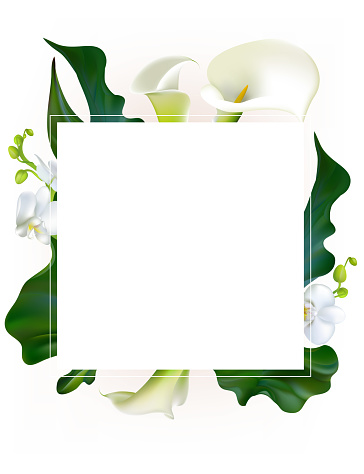 Flowers. Floral background. Callas. Orchids. Green leaves. Flower pattern. White. Frame. Bouquet.