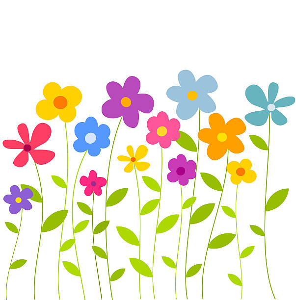 Flowers growing Colorful flowers growing on meadow. Vector illustration flower borders stock illustrations